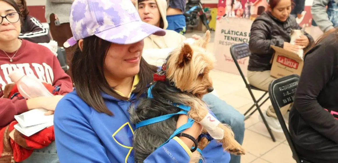 Jornada de Bienestar Animal en San Francisco Totimehuacan