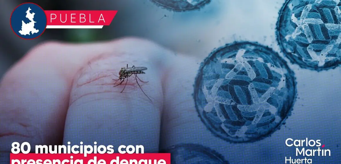 Mantiene Puebla presencia de dengue en 80 municipios: Salud