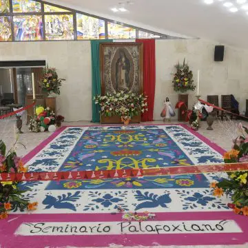 Fervor y devoción en la celebración de la Virgen de Guadalupe