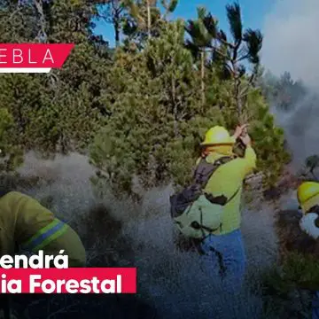 Puebla tendrá por primera vez Guardia Forestal para el cuidado del medio ambiente