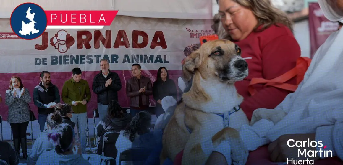 Impulsa Gobierno de la Ciudad jornada de bienestar animal en la colonia Revolución Mexicana