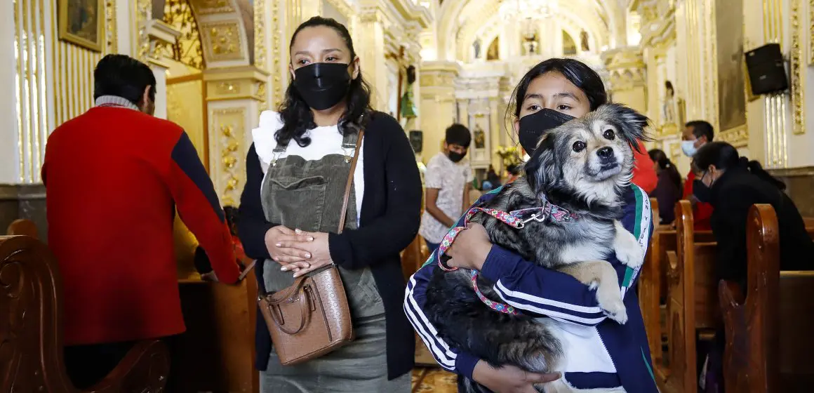 Bendición de mascotas este viernes en el templo de San Antonio