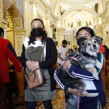 Bendición de mascotas este viernes en el templo de San Antonio