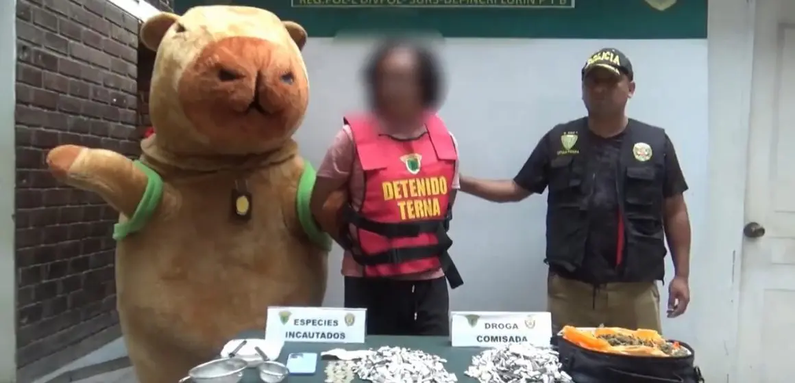 (VIDEO) Capibara detienen a vendedor de droga en Perú