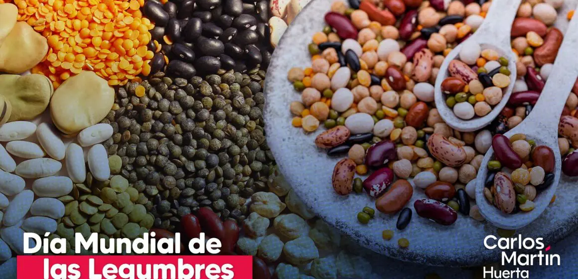 Día mundial de las legumbres: un tesoro nutricional