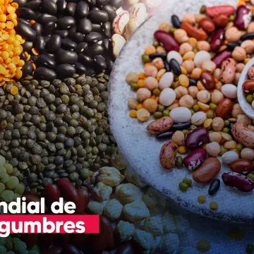 Día mundial de las legumbres: un tesoro nutricional