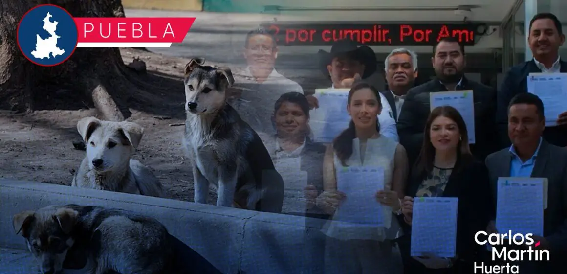 Puebla a favor de los animales; acuerdan “Plan Cero Tolerancia al Maltrato y Crueldad Animal”