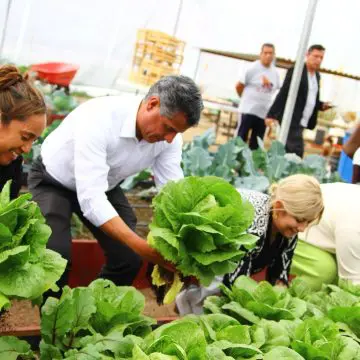 Dona Secretaría de Bienestar municipal lechugas cultivadas en huerto urbano rehabilitado