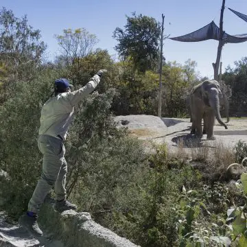 ¿Buscas trabajo en Puebla? Africam abre vacantes temporales para Semana Santa 