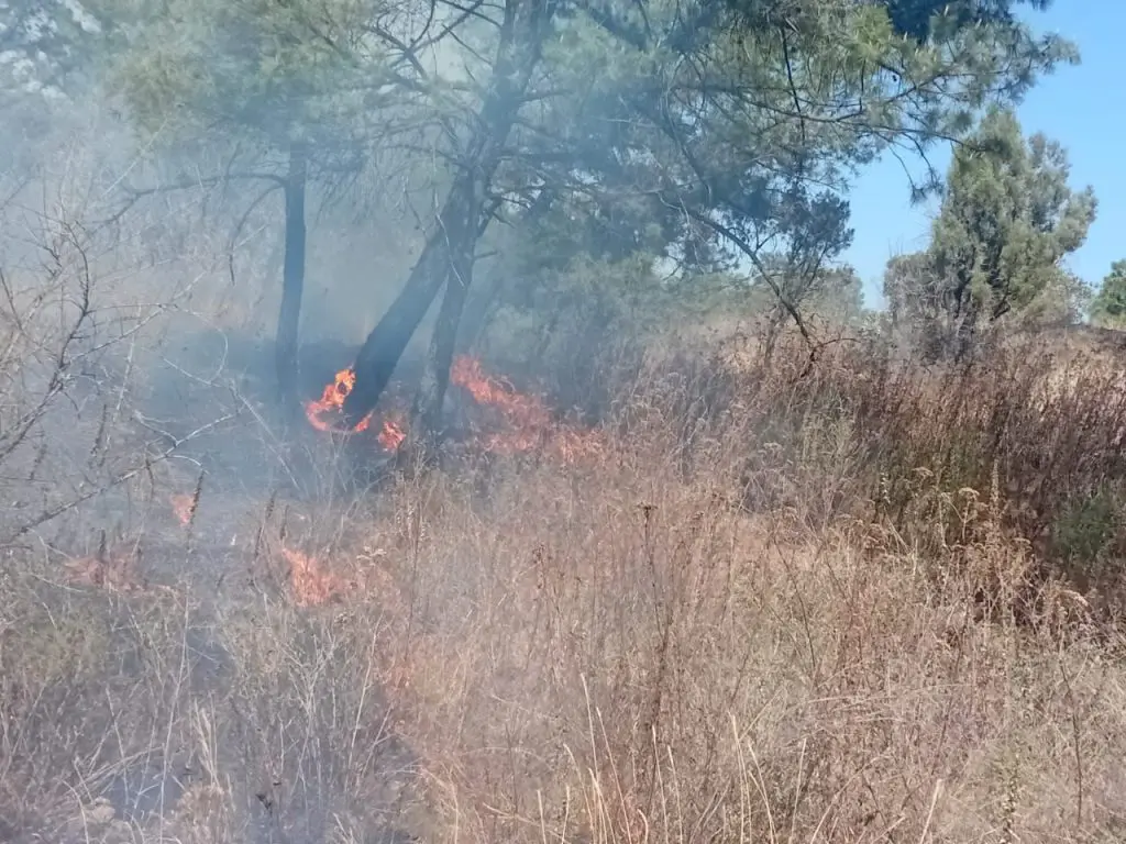 Gobierno y Fiscalía de Puebla intensifican acciones contra incendios forestales: 37% son provocados 1 incendios puebl 2