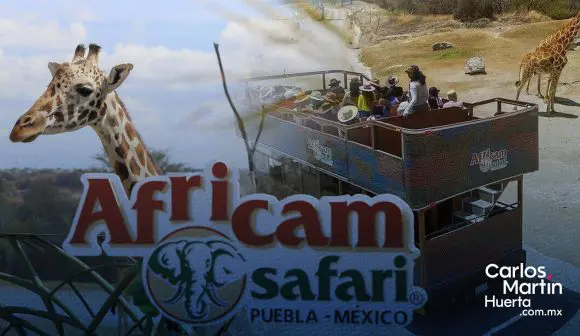 Africam Safari cumple 53 años