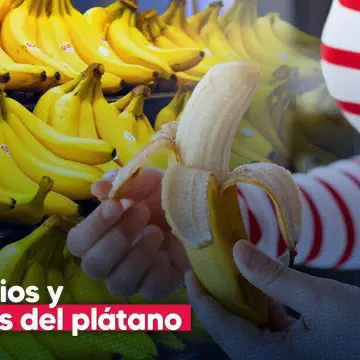 Plátano: el fruto dorado que esconde más secretos de los que imaginas