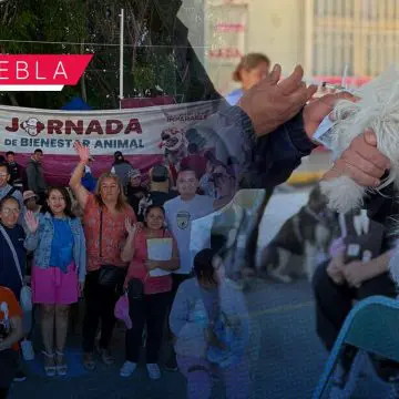 Bienestar animal en Puebla: Realizan jornada de vacunación y esterilización en Valle del Paraíso
