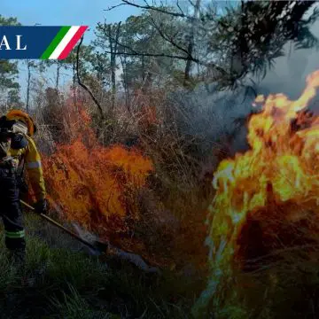 Hay 99 incendios forestales activos en México: Conafor