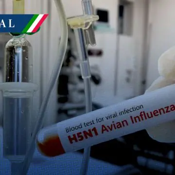Murió niña con influenza aviar A (H5N1) en México