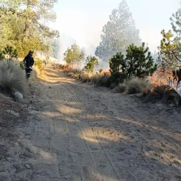 Incendio forestal en Tlachichuca extinguido al 100%