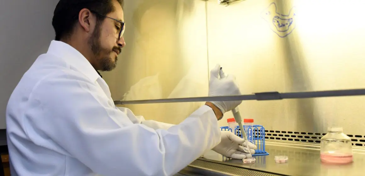 Investigación cardiovascular en México: Avances en el estudio de las células cardiacas
