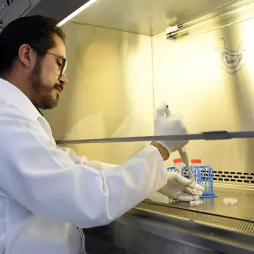 Investigación cardiovascular en México: Avances en el estudio de las células cardiacas