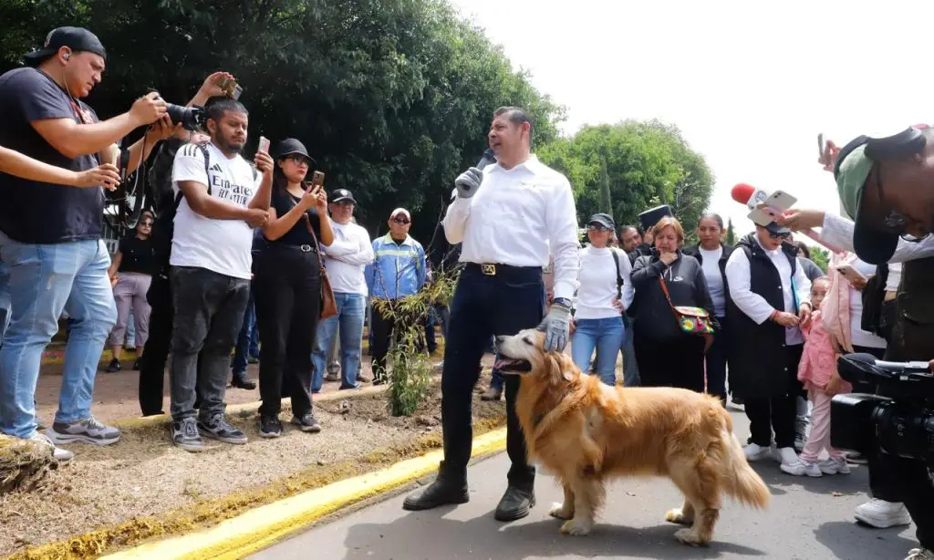 Gobierno federal y estatal impulsarán campaña de protección de animales 1 Casa de Seres Sintientes en Puebla Tommy Armenta