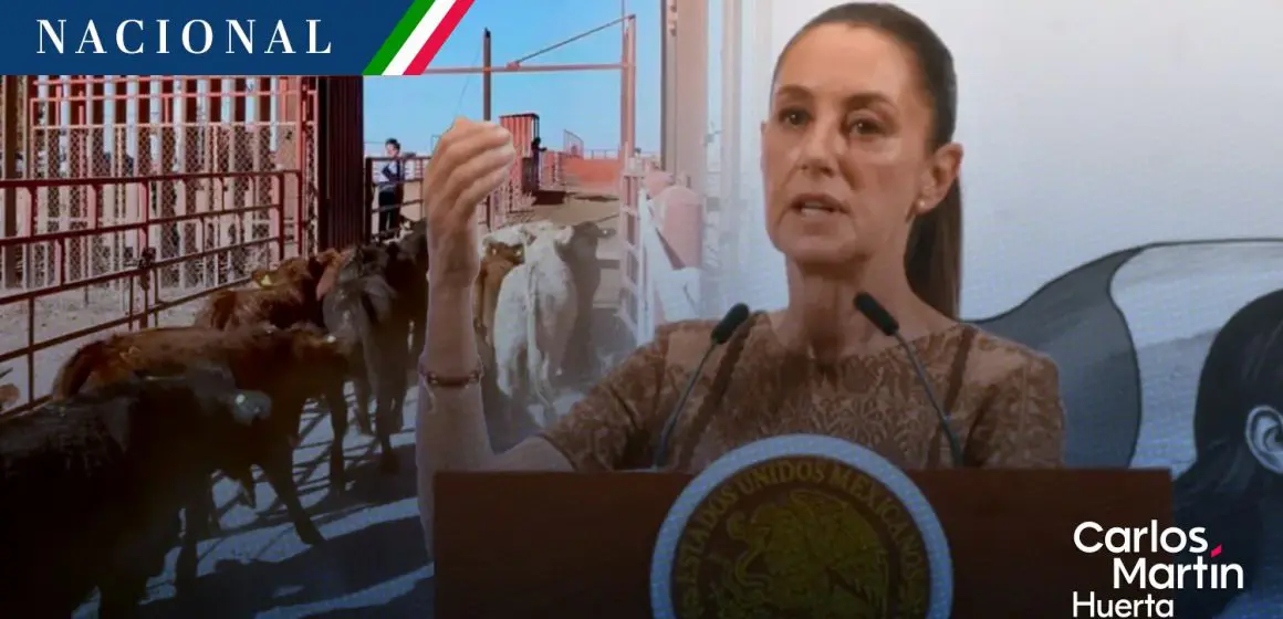 Sheinbaum calificó de injusta la medida de EE.UU. por cierre de la frontera al ganado