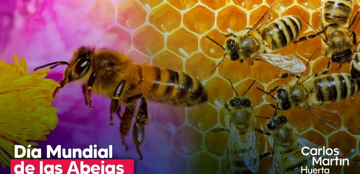 Día Mundial de las Abejas: guardianas de la vida en el planeta