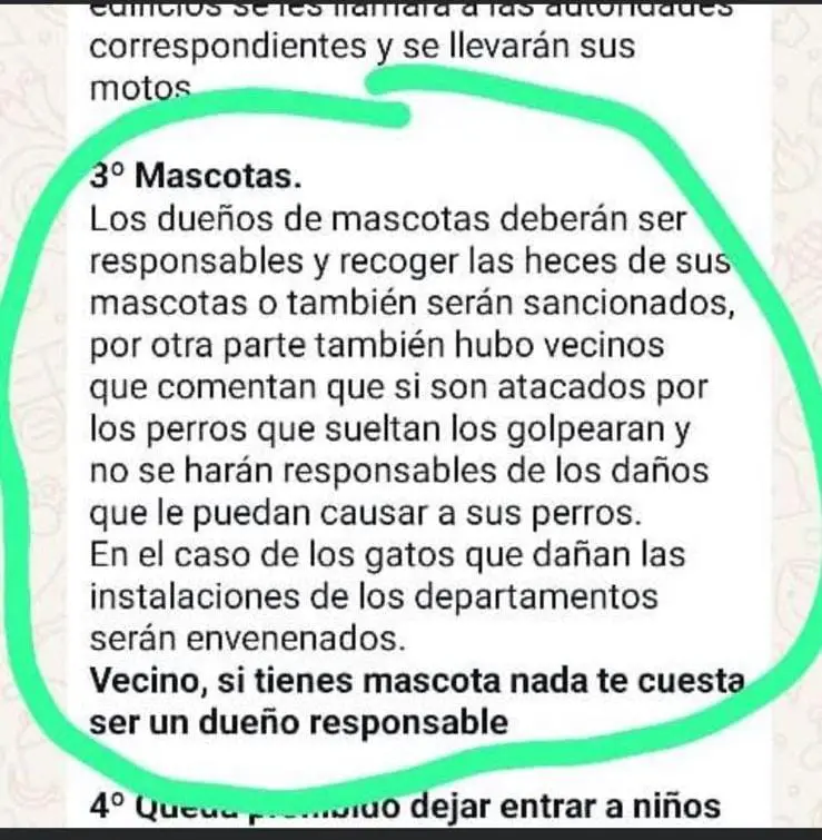 Envenenan a perros y gatos en fraccionamientos de Tianguismanalco 4 Envenenamiento de perros en Fraccionamiento Casas GEO