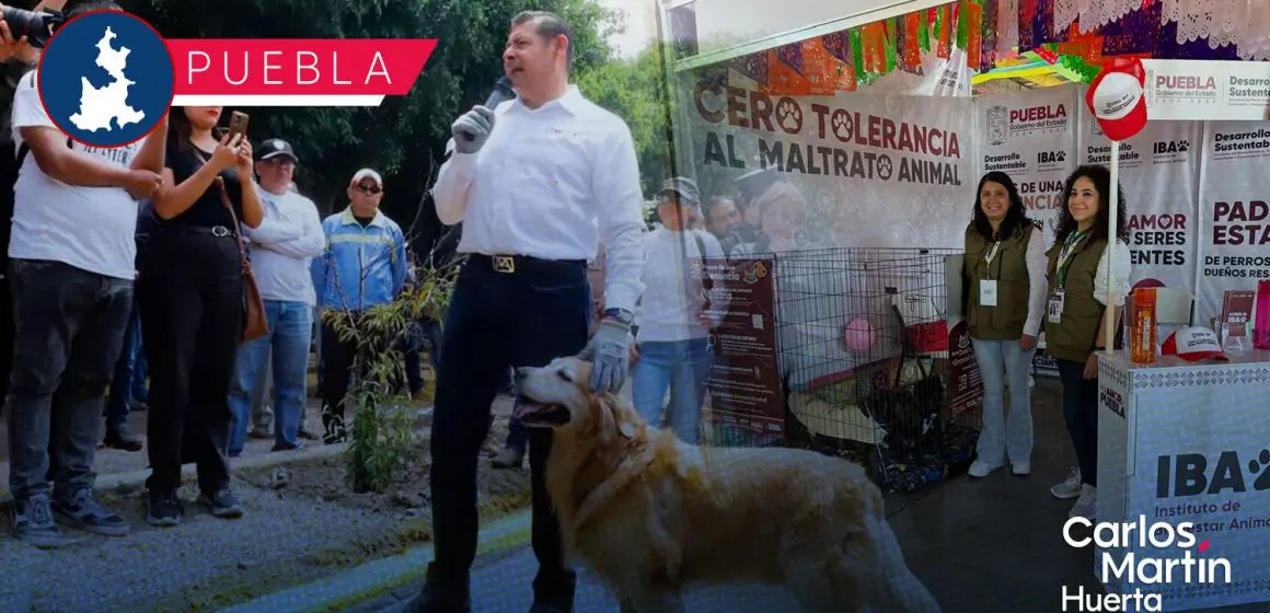 Gobierno federal y estatal impulsarán campaña de protección de animales