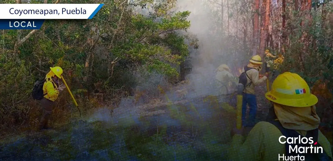 La Sierra Negra de Puebla se consume bajo un implacable incendio forestal