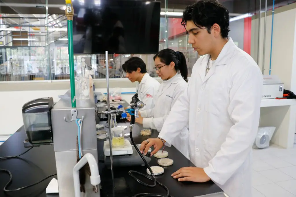Biotecnología: Residuos convertidos en soluciones médicas 1 A partir de tres ingredientes que tienen grandes impactos en el medioambiente, el grupo de estudiantes creó un biomaterial de fácil aplicación que demuestra la regeneración de las células en una herida.