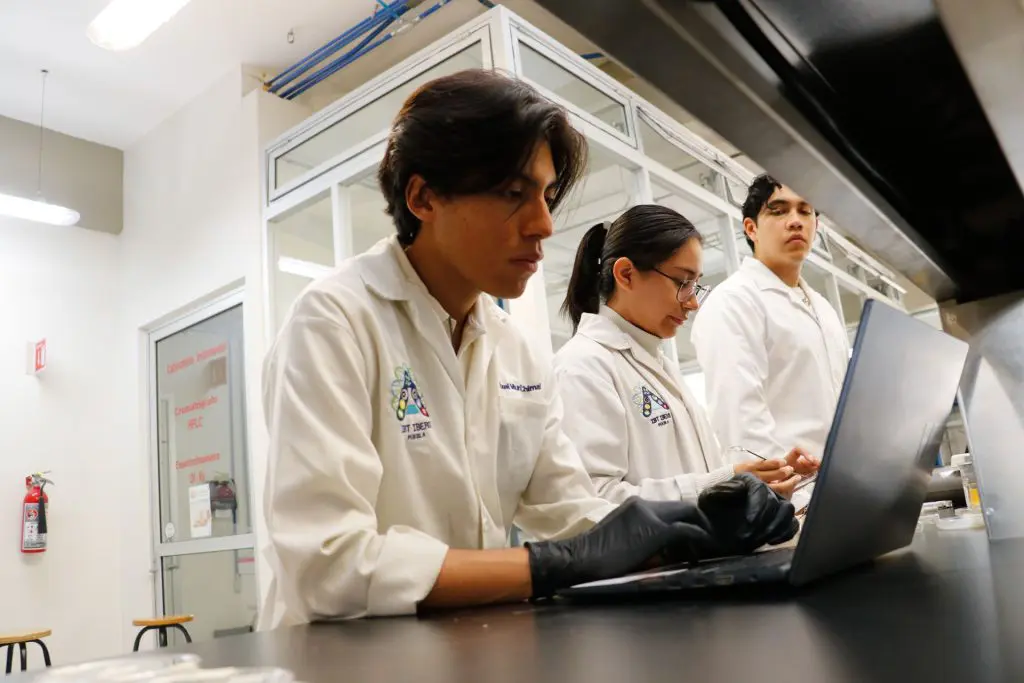 Biotecnología: Residuos convertidos en soluciones médicas 2 Innovacion para la salud talentos IBERO Puebla desarrollan alternativa sustentable para heridas y cicatrizacion 5