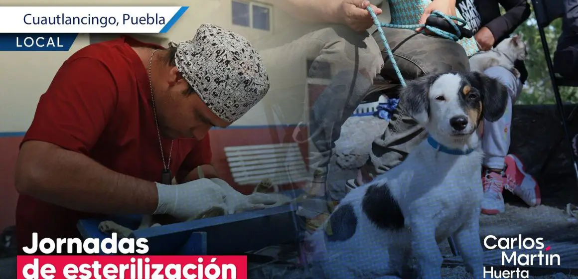 Jornadas de esterilización en Cuautlancingo: Un compromiso con el bienestar animal
