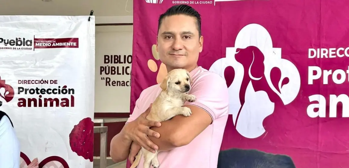 Gobierno de la Ciudad prioriza el bienestar animal con jornadas