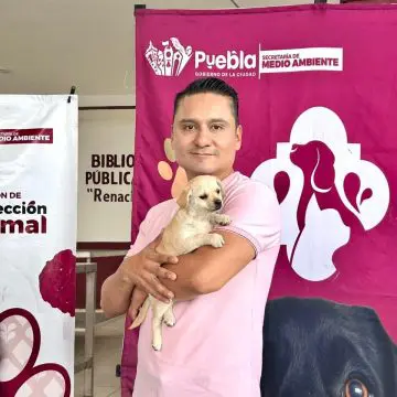 Gobierno de la Ciudad prioriza el bienestar animal con jornadas
