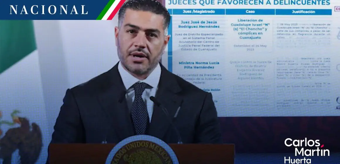 Gobierno acusa a jueces de beneficiar a más de 100 presuntos delincuentes