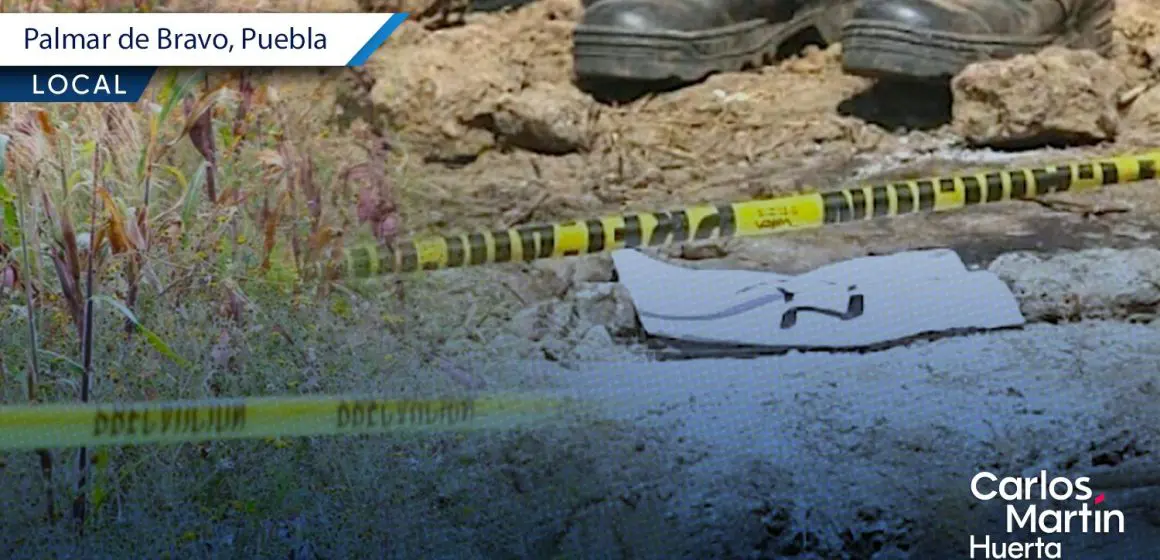 Hallan presunta fosa clandestina en Palmar de Bravo; FGE ya investiga