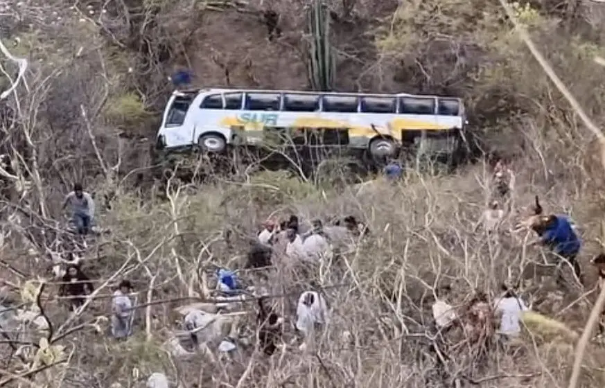 Trágico accidente: Autobús de Línea Sur cae a barranco en Tehuitzingo