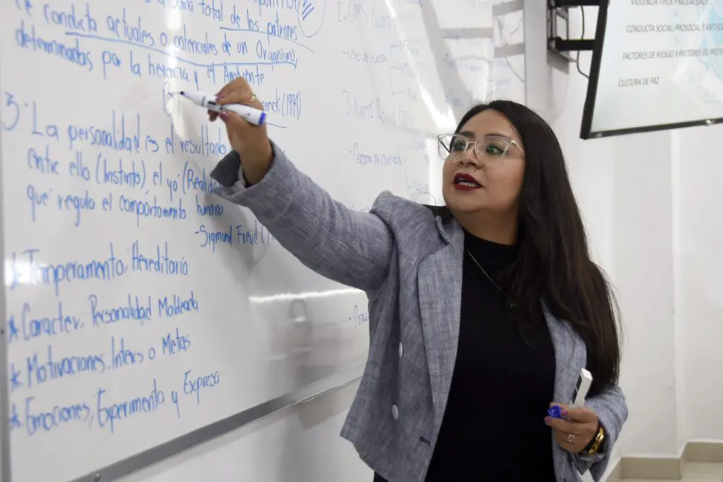 Este año, 82.6 por ciento de los docentes hora clase se beneficiará con dos bonos anuales 1 C Profesores 0