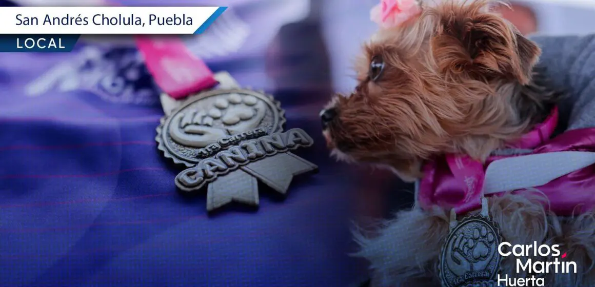 Presentan medalla y playera oficial de la 1ª Carrera Canina en San Andrés Cholula
