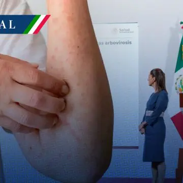 Salud presenta Plan Nacional contra el Dengue; se busca desarrollar vacuna