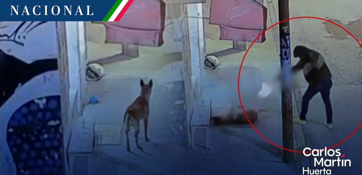 Detienen a policía de Ecatepec por disparar a perrito callejero