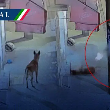 Detienen a policía de Ecatepec por disparar a perrito callejero