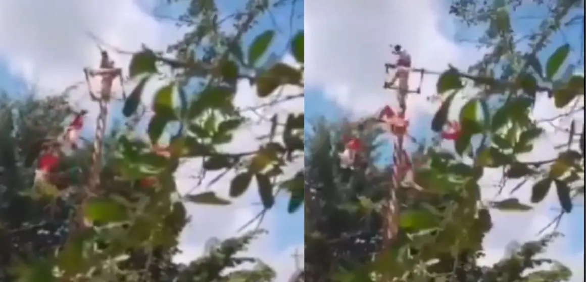 Cinco voladores de Papantla caen desde más de 10 metros durante ritual en Veracruz