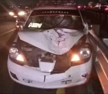 Hombre muere atropellado en autopista Puebla-Orizaba; aseguran vehículo involucrado