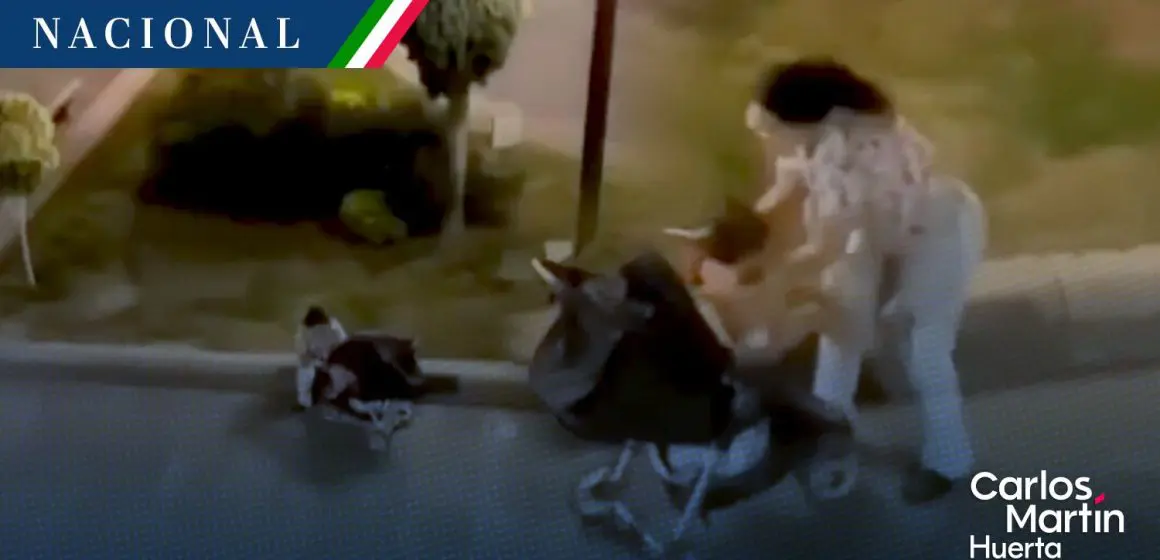 Mujer es captada golpeando a un bebé en las calles de San Luis Potosí