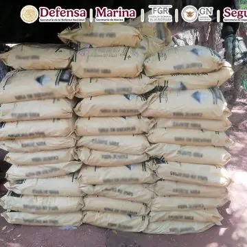 Desmantelan narcolaboratorio en Michoacán