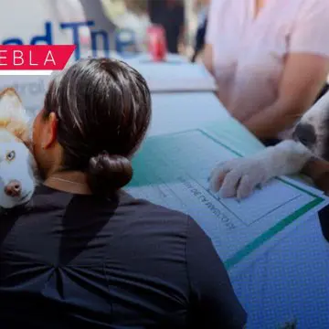 RUAC 2025: Fecha límite para tramitar la CURP de tu mascota