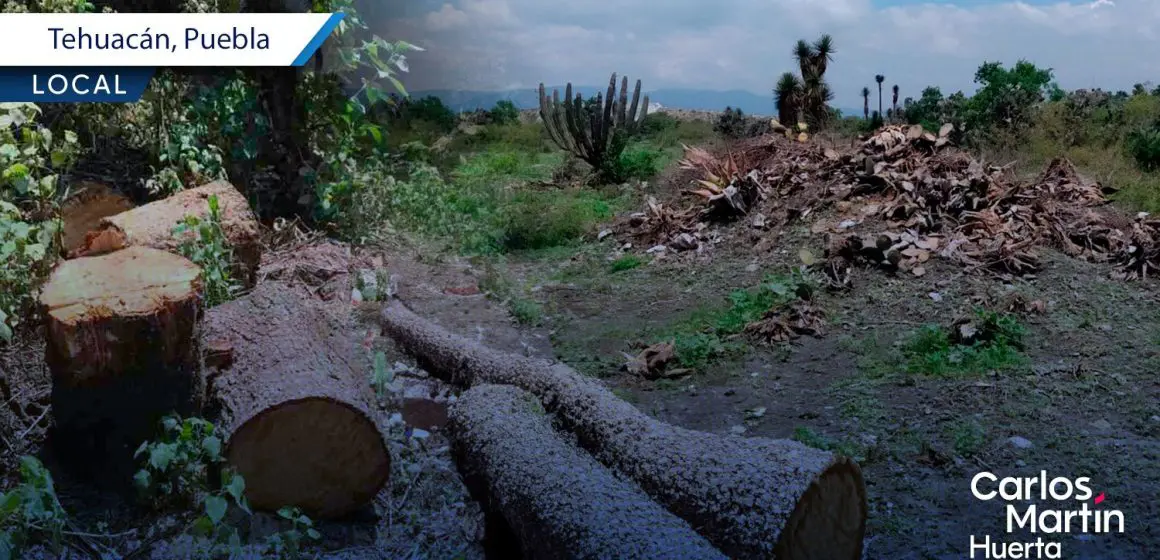 Sentencian a dos hombres por daño ambiental en la Reserva de la Biósfera Tehuacán-Cuicatlán