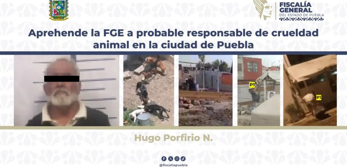Aprehende la FGE a probable responsable de crueldad animal en la ciudad de Puebla