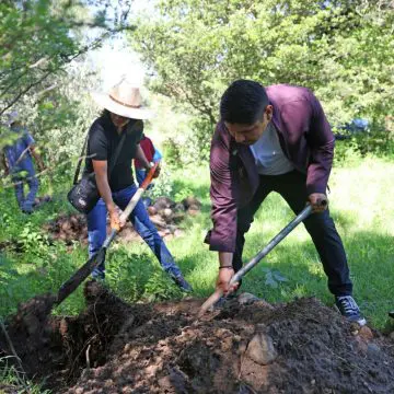 Encabeza Omar Muñoz jornada de reforestación en San Lorenzo Almecatla
