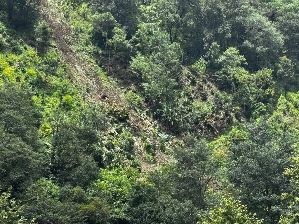 Deslizamiento de tierra en Chiconcuautla, Puebla, deja una persona fallecida y tres lesionados 1 01 Deslizamiento de tierra en Chiconcuautla deja una persona fallecida